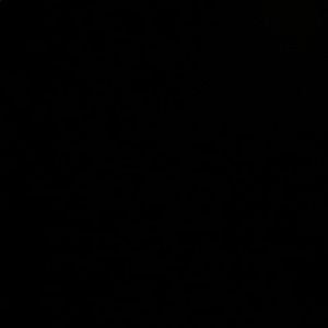 Meet your Posher, Marge